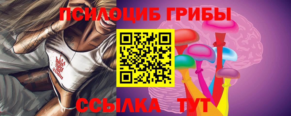 Псилоцибиновые грибы Psilocybine cubensis  дарнет шоп  Ноябрьск  Вход с VPN 
